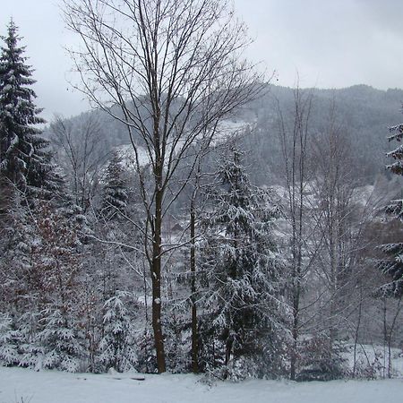 Soaptele Padurii & Casuta Din Padure Sucevita Quarto foto